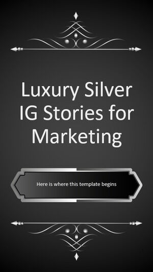 Luksusowe historie Silver IG dla marketingu