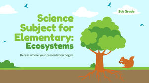 小学至五年级科学科目：生态系统