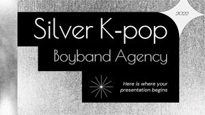Silver K-Pop Boyband Agency