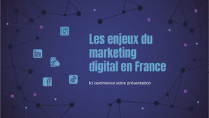 Provocări de marketing digital în Franța
