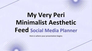 Моя очень минималистичная эстетическая лента Peri — Планировщик социальных сетей