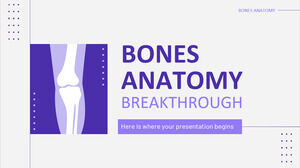 Scoperta dell'anatomia ossea