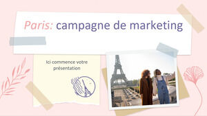 Paris: a Tourist Attraction MK Campaign