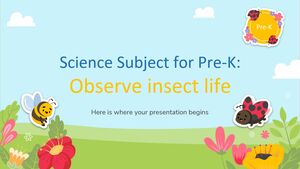 Mata Pelajaran IPA Pra-K: Mengamati kehidupan serangga