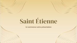 Fête de la Saint-Étienne