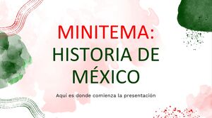 ประวัติศาสตร์มินิธีมเม็กซิโก