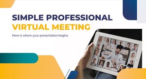 Simple Professional Virtual Meeting