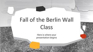 Clase de caída del muro de Berlín