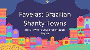 Фавелы: бразильские трущобы