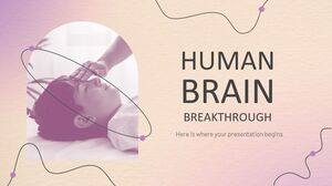 Durchbruch im menschlichen Gehirn