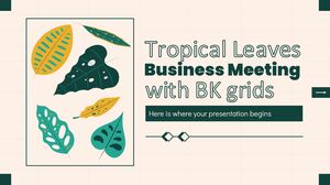 与 BK Grids 的热带植物商务会议