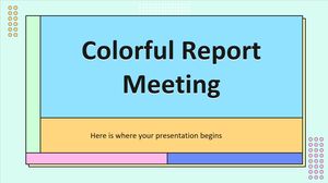 Renkli Rapor Toplantısı