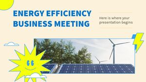 Деловая встреча по энергоэффективности