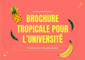 Tropical Brochure for College