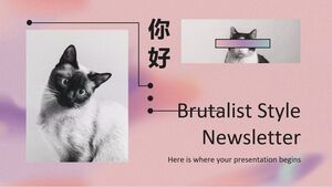 Newsletter im brutalistischen Stil
