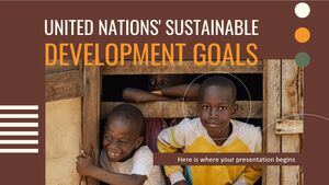 Obiettivi di sviluppo sostenibile delle Nazioni Unite