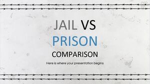 监狱与监狱的比较