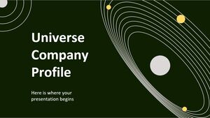 Profil firmy Flat Universe