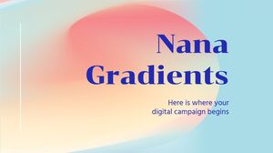 Întâlnirea de afaceri Nana Gradients