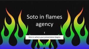 Agenzia Soto in Flames
