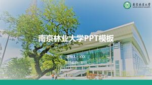 PPT-Vorlage der Nanjing Forestry University
