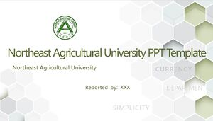 เทมเพลต PPT ของมหาวิทยาลัยเกษตรตะวันออกเฉียงเหนือ