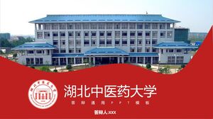 جامعة هوبى للطب الصيني التقليدي