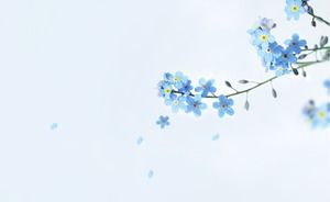 Gambar latar belakang PPT bunga biru yang indah