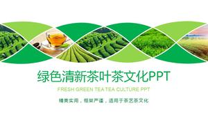 Cultura del tè del fondo della piantagione di tè verde