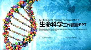 Plantilla PPT de ciencias de la vida en el fondo de la estructura molecular del ADN