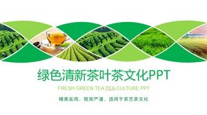 Зеленый чайный фон фон чайной культуры PPT шаблон