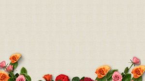4 개의 장미 꽃 PPT 배경 그림