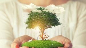 Immagine ambientale del fondo di tema PPT della bicicletta verde del cucciolo dell'albero
