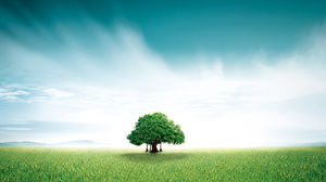 Image d'arrière-plan belle herbe verte arbre PPT