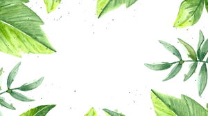 Sulu Boya yeşil yaprak PPT arka plan resmi