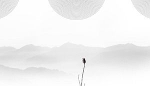 11张典雅的黑白中国风PPT背景图片
