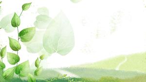 綠色美麗的葉子幻燈片背景圖片