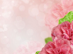 Розовый цветок PPT фоновый рисунок