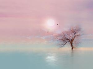 Schönes blaues Purpurton-Sonnenbäume-PPT-Hintergrundbild