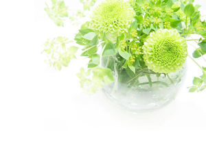 Grünes Vasenpflanzen-PPT-Hintergrundbild