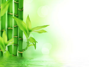 Folhas de bambu do lago fresco imagem de fundo PPT