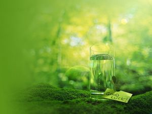 Imagen de fondo PPT de vidrio botella de agua botella verde musgo planta