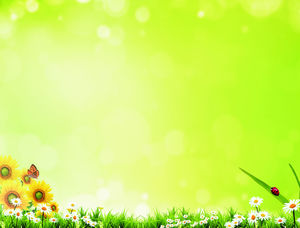 PPT фоновое изображение ореола цветка бабочки травы