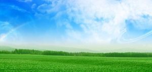 PPT-Hintergrundbild des blauen Himmels und des grünen Grases der weißen Wolken
