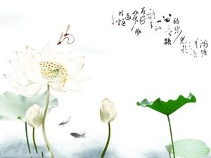 Elegante Libelle spielen Lotus chinesischen Stil Diashow Hintergrundvorlage