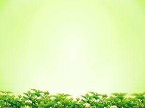 Elegant green background leaves green leaf slide background pictures  download PowerPoint Templates Free Download