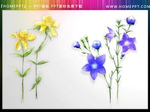 ภาพประกอบชุด PPT ดอกไม้สีน้ำที่สวยงาม