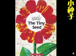 História do livro de imagens "Little Seed" PPT