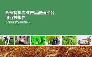 农产品流通平台分析报告PPT下载