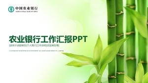 Bambu bölüm bambu yaprak yeşil küçük taze tarım banka çalışma raporu ppt şablonu kapak